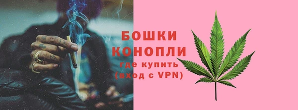 крисы Зеленодольск