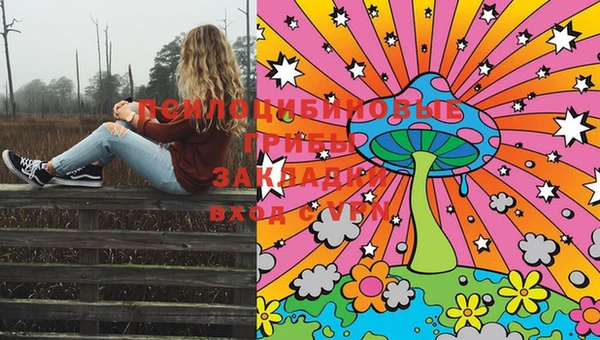 круглые Зеленокумск
